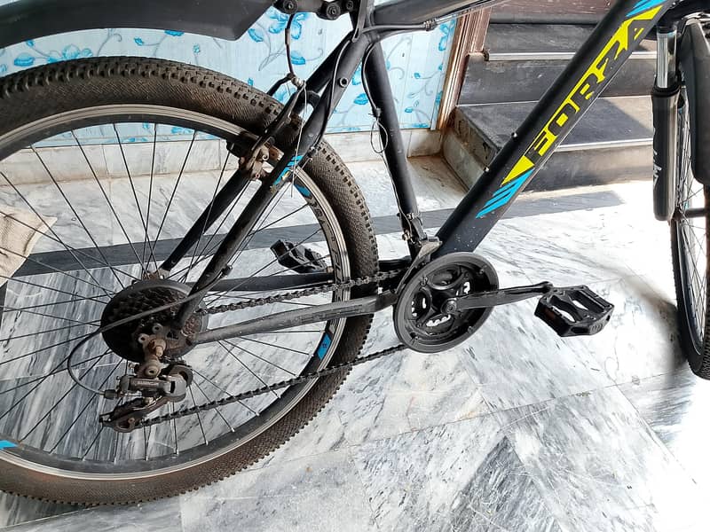 Forza Bicycle 4