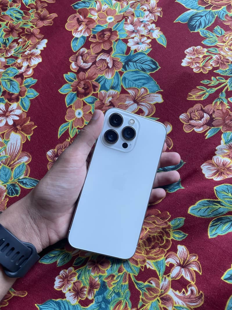 Apple iPhone 13 Pro 0