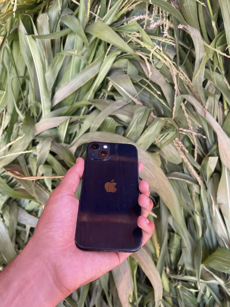 Apple iPhone 13 0