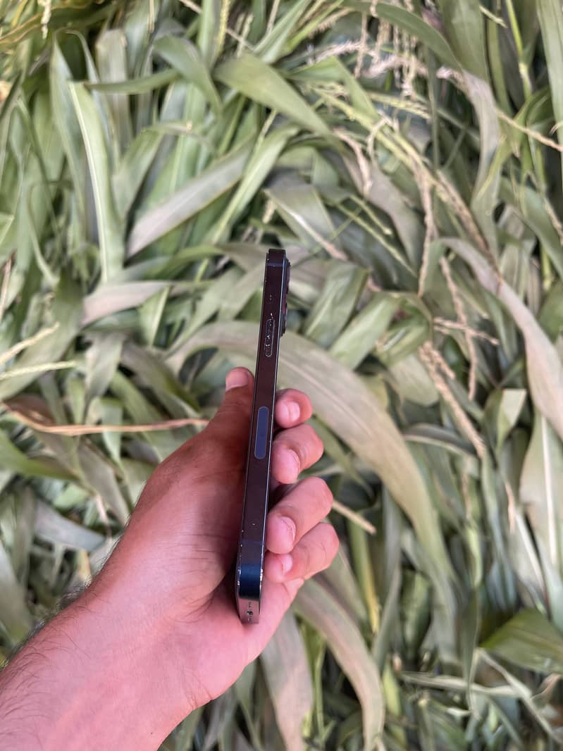Apple iPhone 13 4
