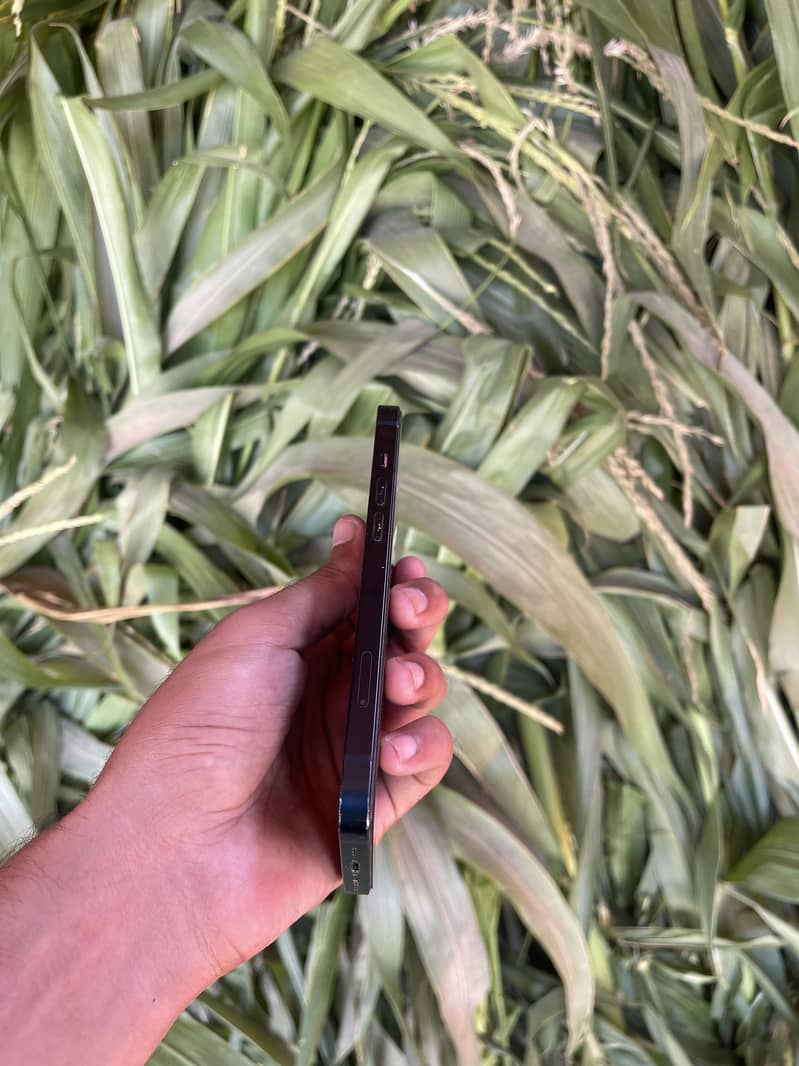 Apple iPhone 13 5