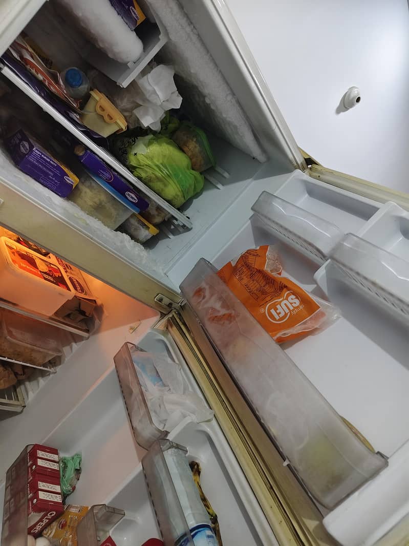 Waves Double-Door Refrigerator 7