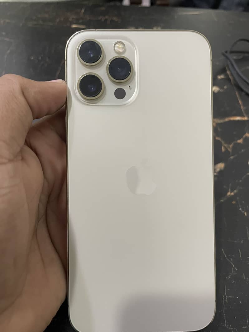 Apple iPhone 12 Pro Max 1