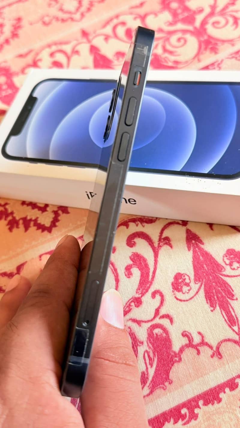 Apple iPhone 12 1