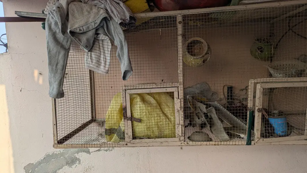 angle cage condition 10/9 well k sath hang hota hai — photo 2