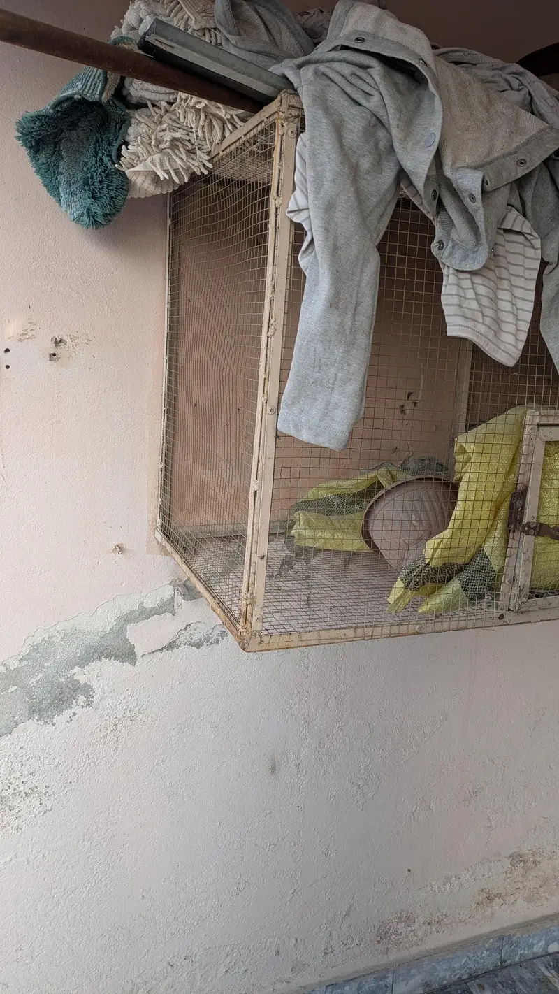 angle cage condition 10/9 well k sath hang hota hai — photo 4