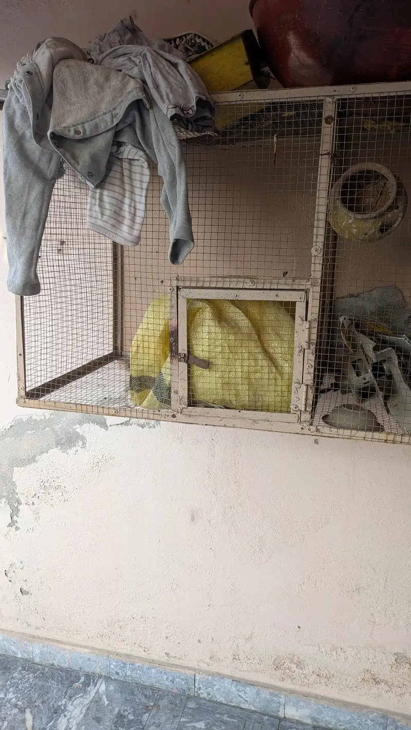 angle cage condition 10/9 well k sath hang hota hai — photo 5