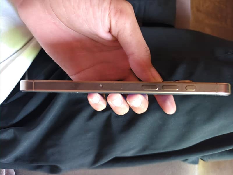 Apple iPhone 16 Pro Max 2