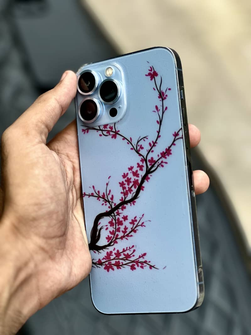 Apple iPhone 13 Pro Max 1