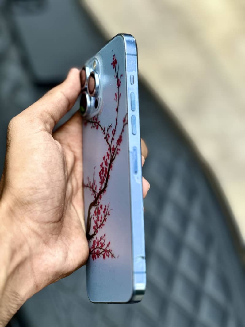 Apple iPhone 13 Pro Max 2