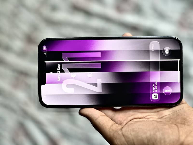 Apple iPhone 13 Pro Max 4