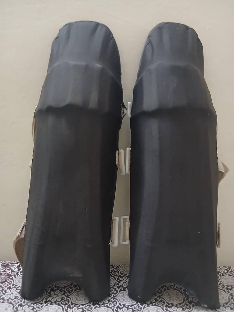 cricket pads 1