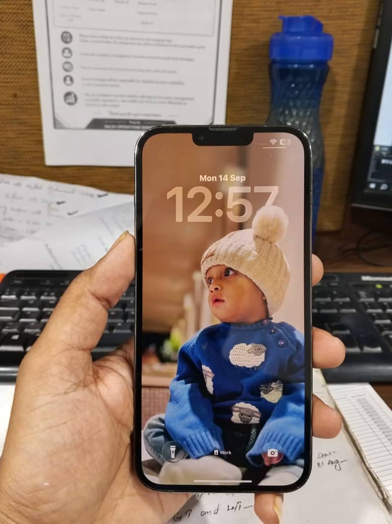 Apple iPhone 13 Pro Max 0
