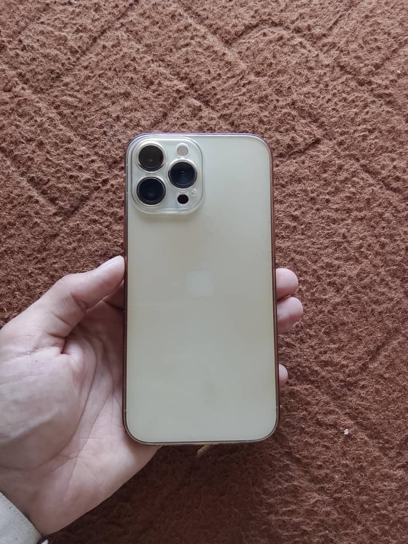 Apple iPhone 13 Pro Max 0