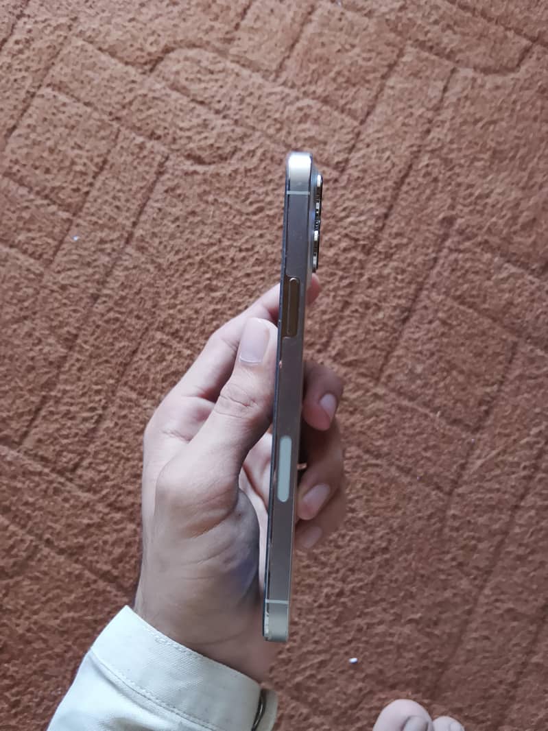 Apple iPhone 13 Pro Max 5