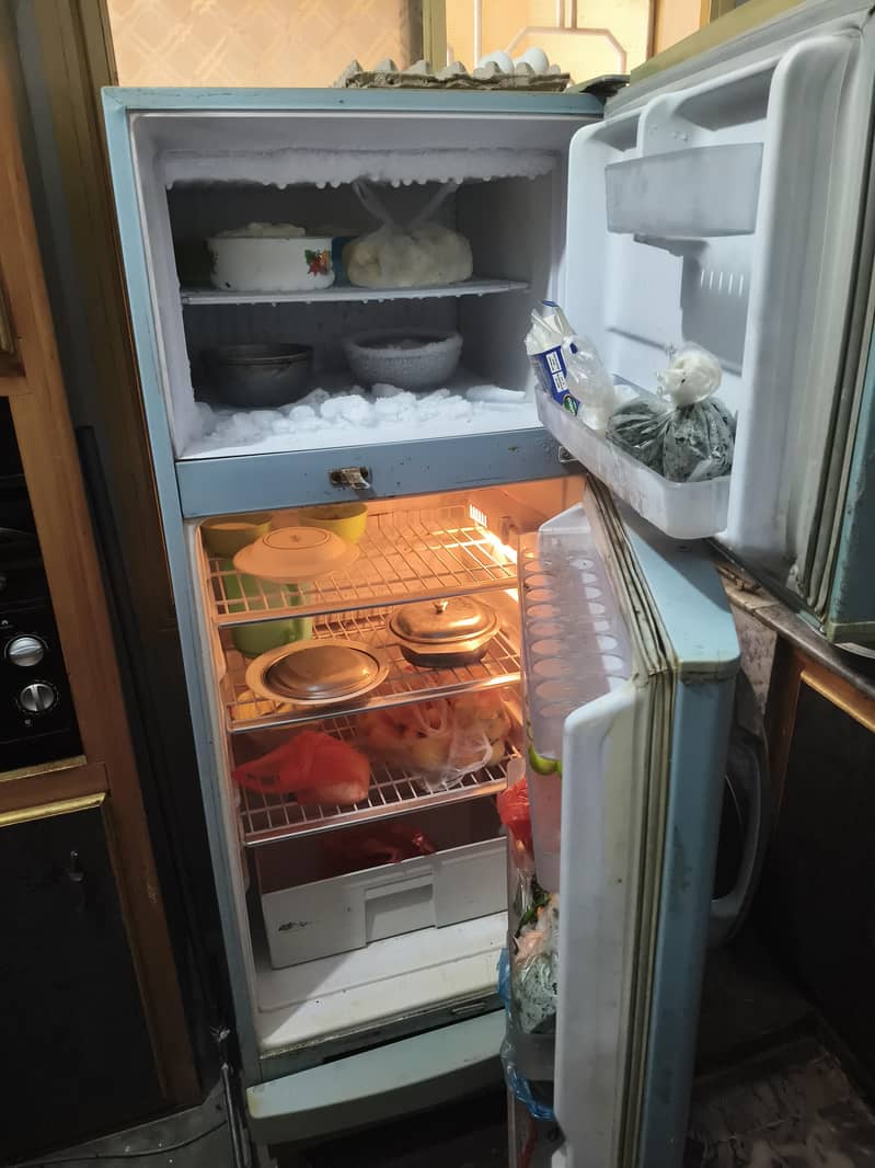singer fridge 2