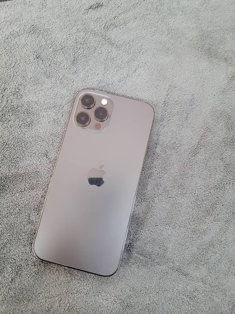 Apple iPhone 12 Pro Max 1