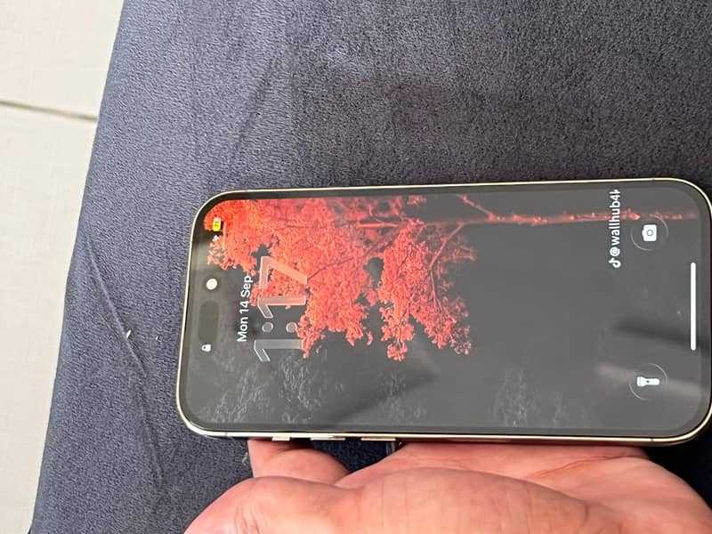 Apple iPhone 14 Pro 1