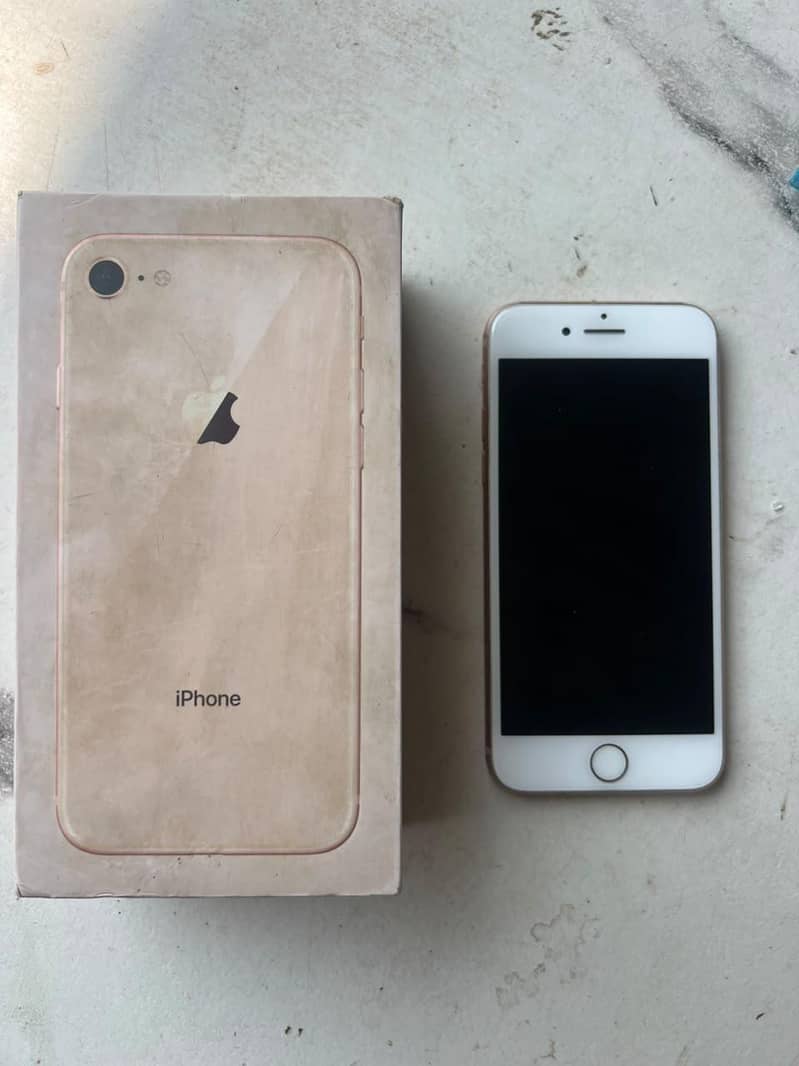 Apple iPhone 8 1
