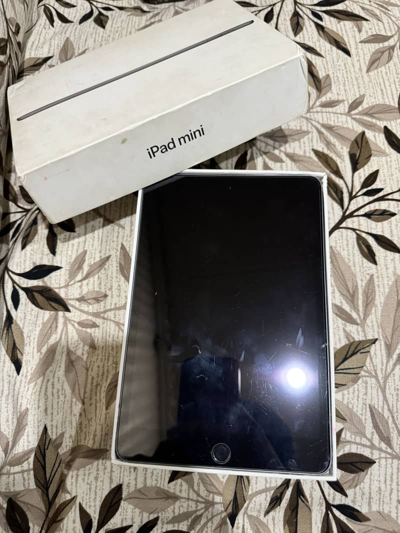 Ipad Mini 5 1