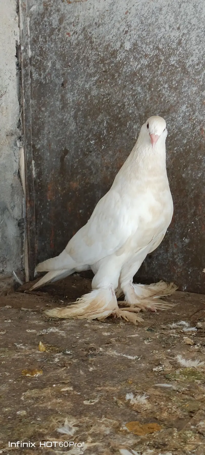 female active and healthy — photo 2