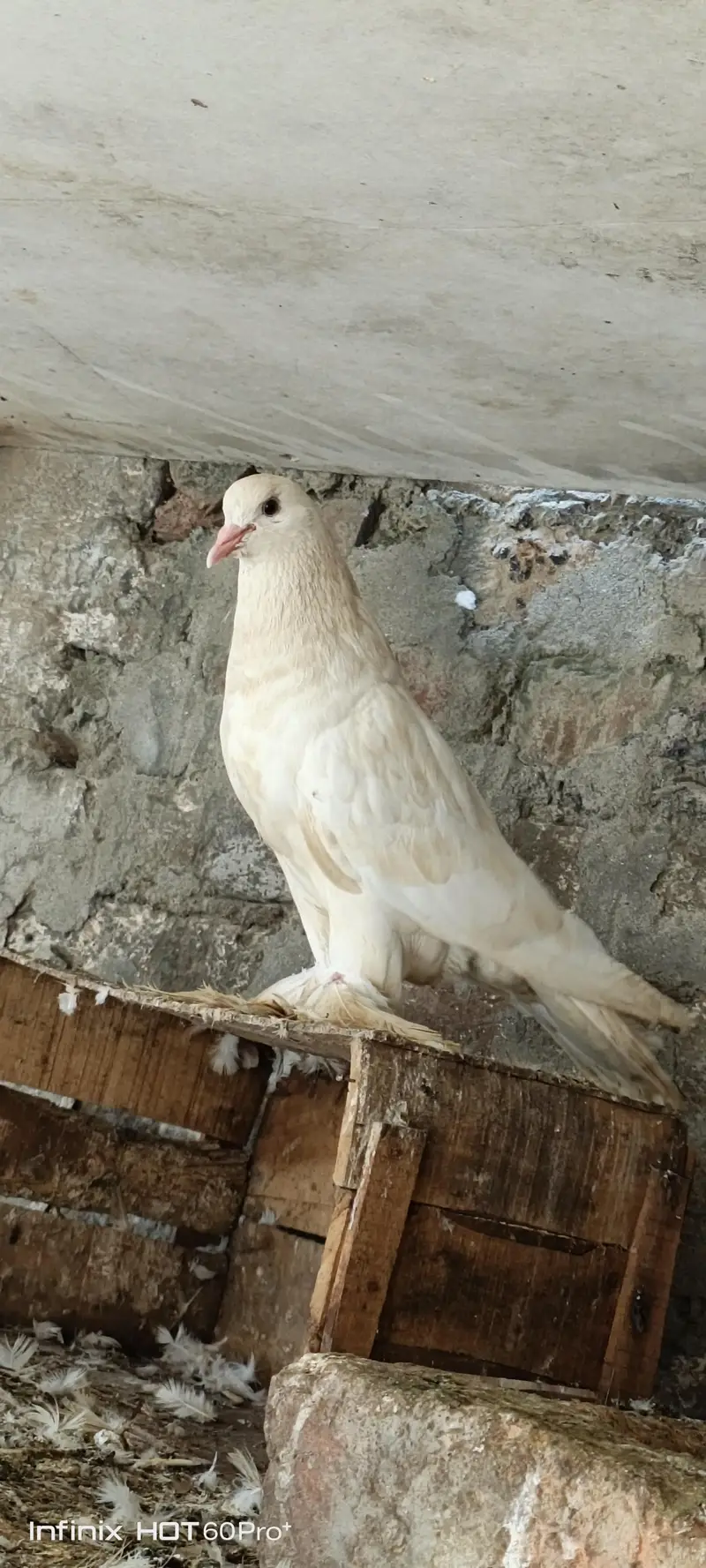 female active and healthy — photo 3