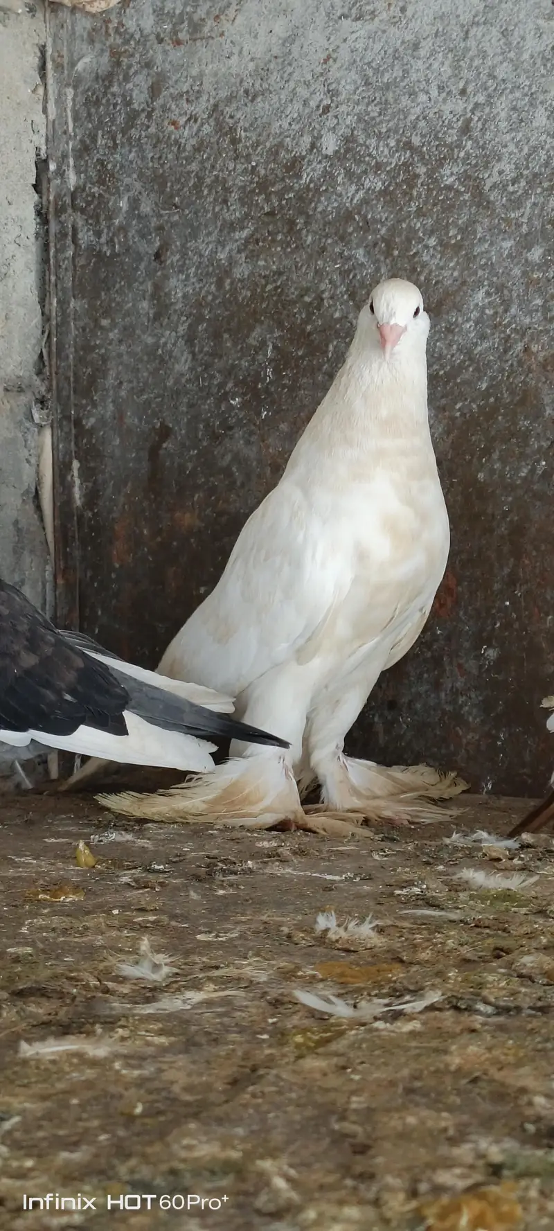 female active and healthy — photo 4