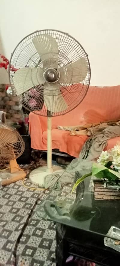 pediatal fan