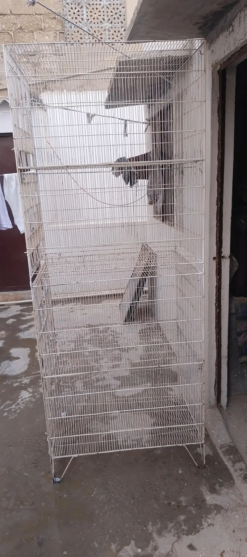 Tower Cage 4 portion — photo 4