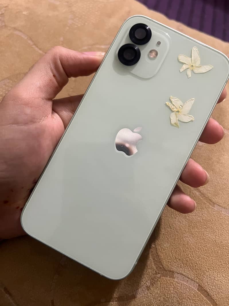Apple iPhone 12 1