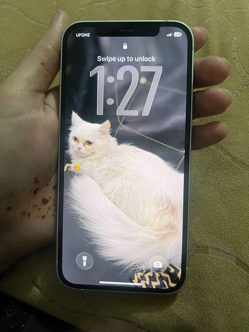 Apple iPhone 12 2