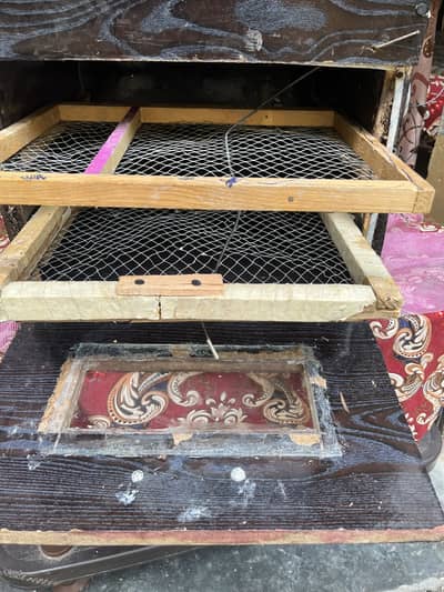 Incubator for sale