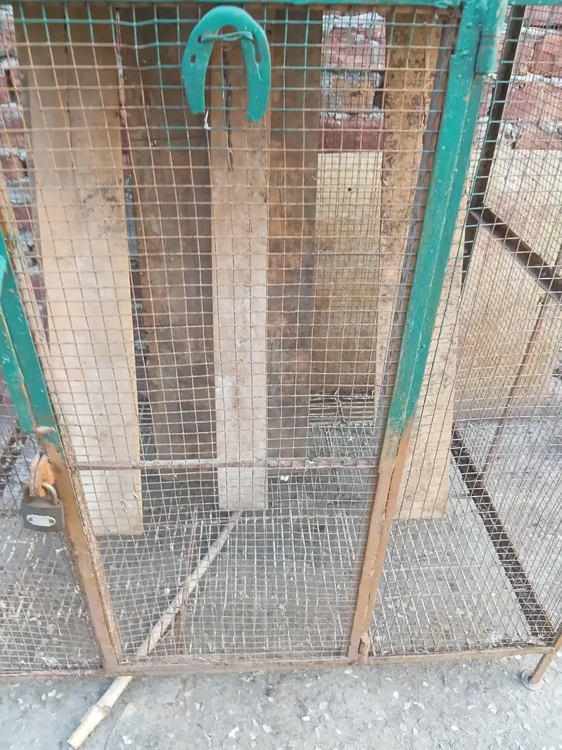 home made strong cage — photo 4