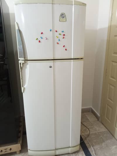 Pel brand Fridge for Sale