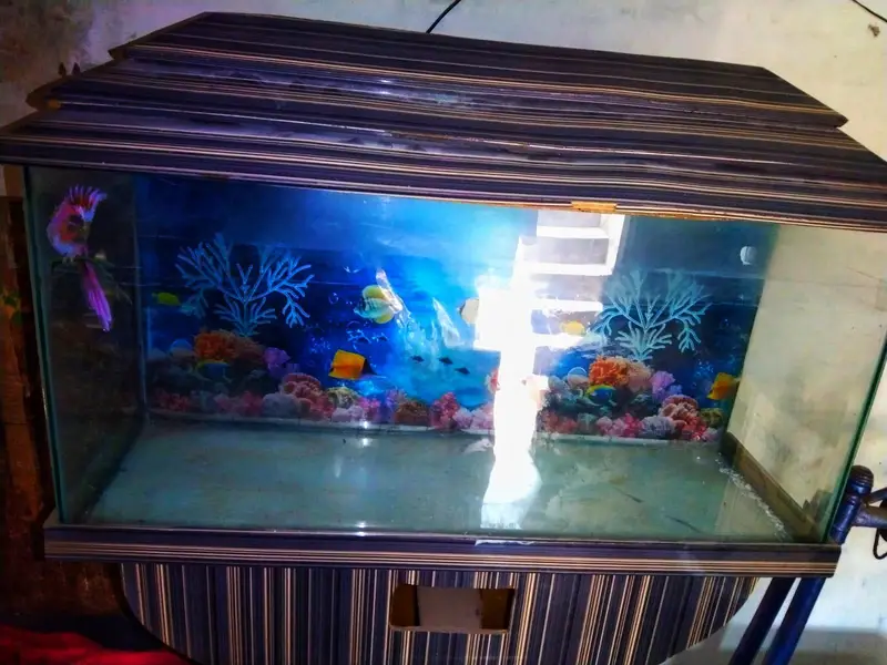 aquarium — photo 2