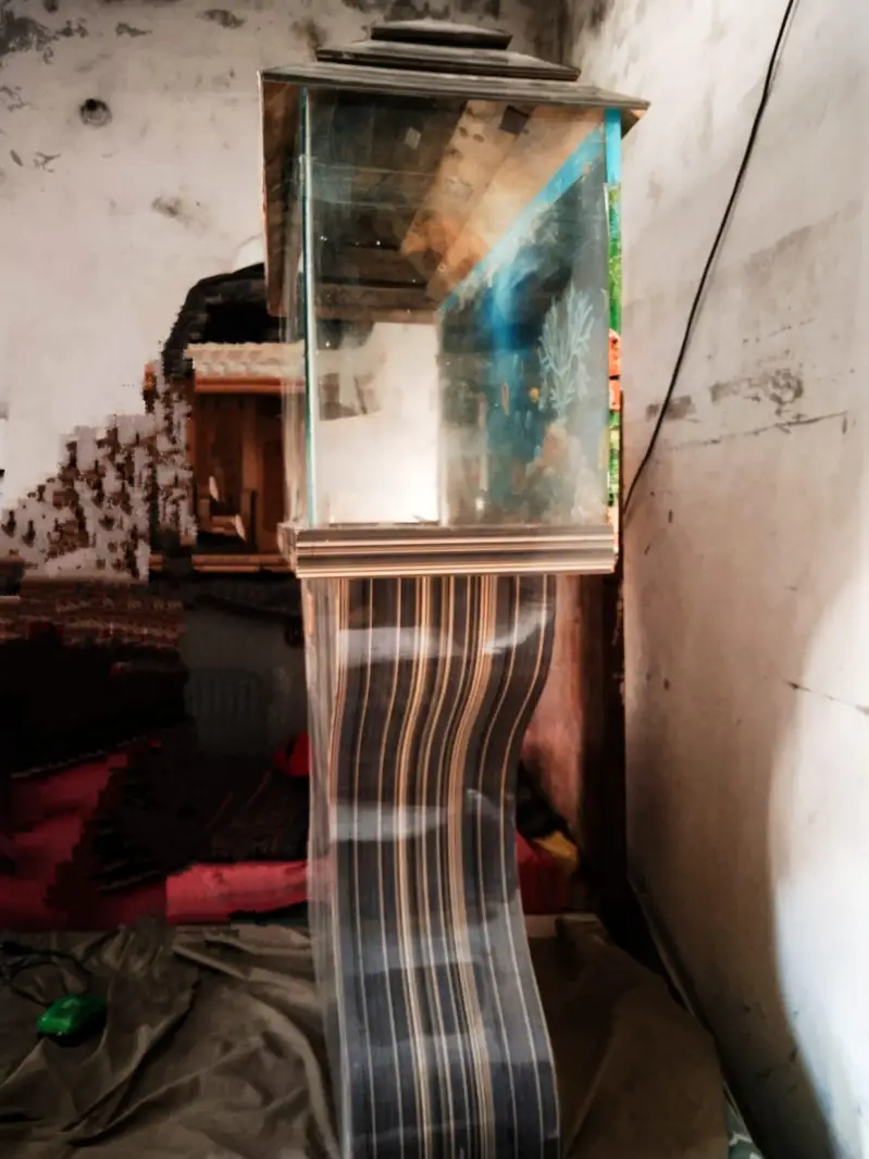 aquarium — photo 5