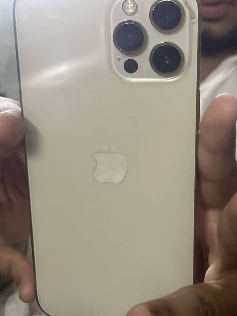 Apple iPhone 12 Pro Max 1