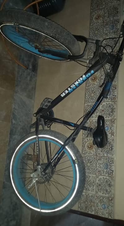 Mountain Bike