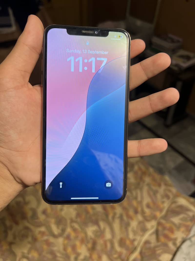 Apple iPhone XS Max 2