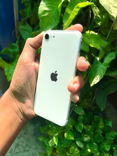 iPhone SE 2020 /03368696095/