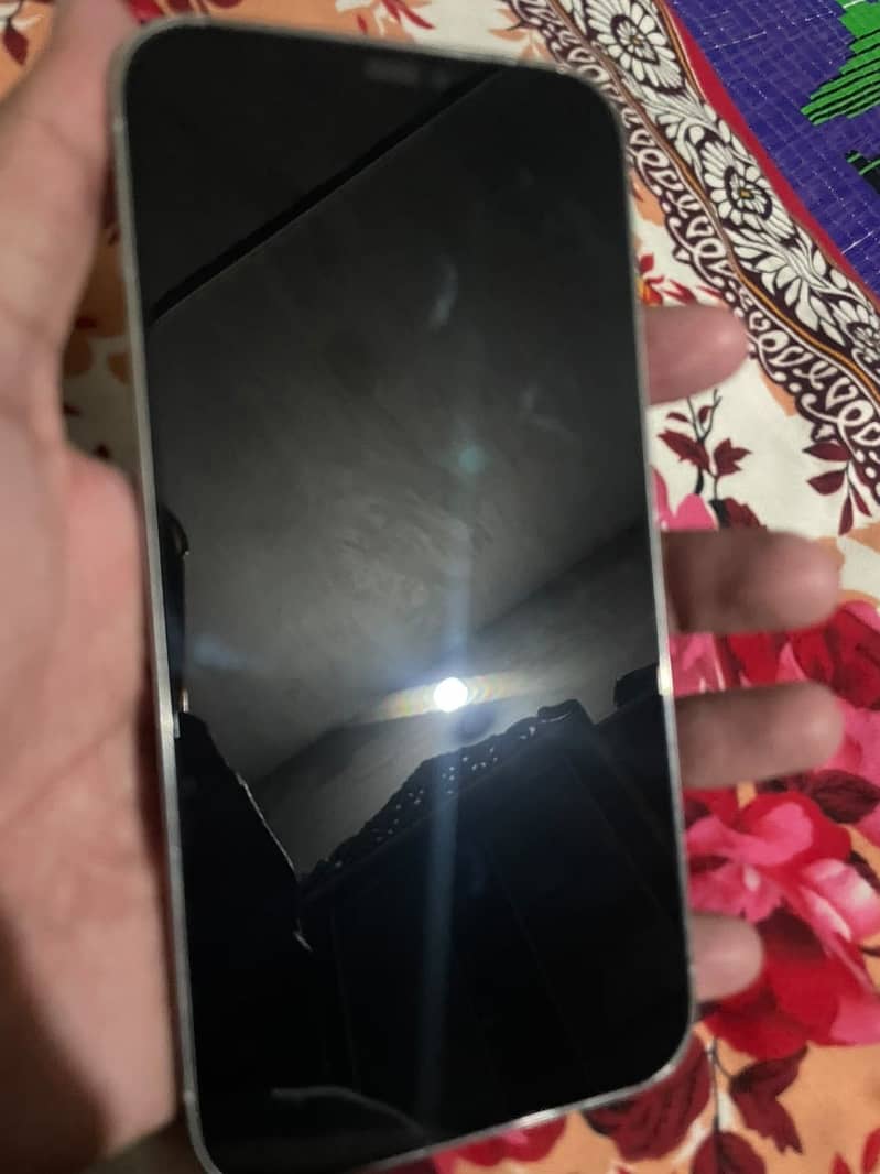 Apple iPhone 12 Pro Max 2
