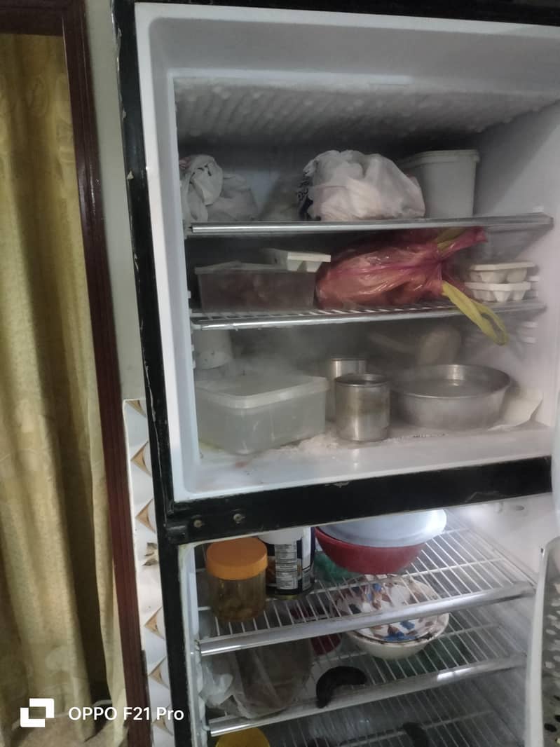 full size orient fridge 2