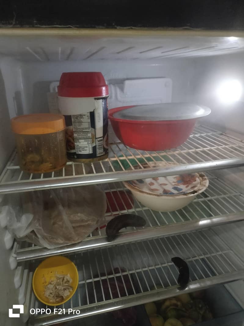 full size orient fridge 3