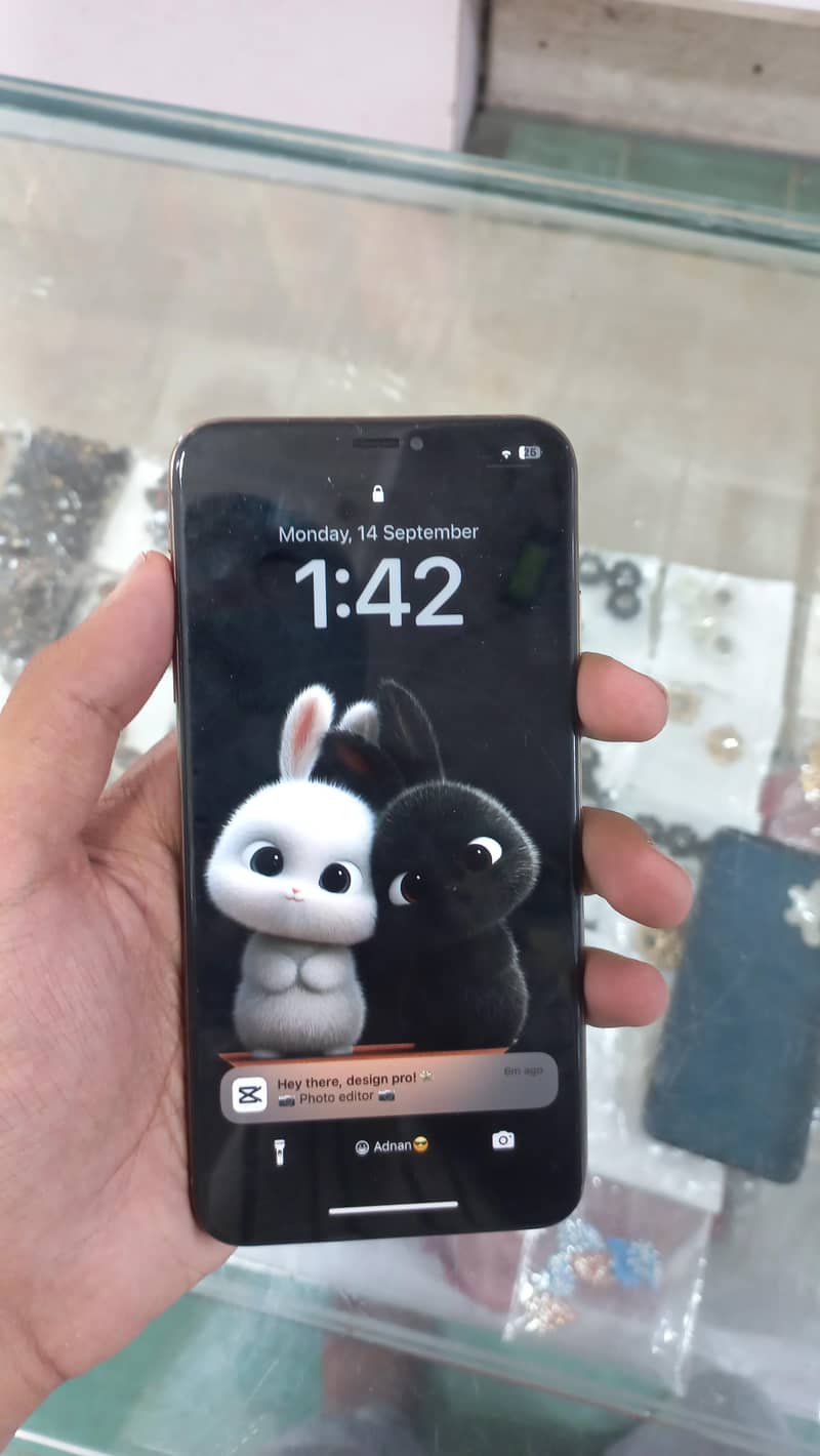 Apple iPhone XS Max 6