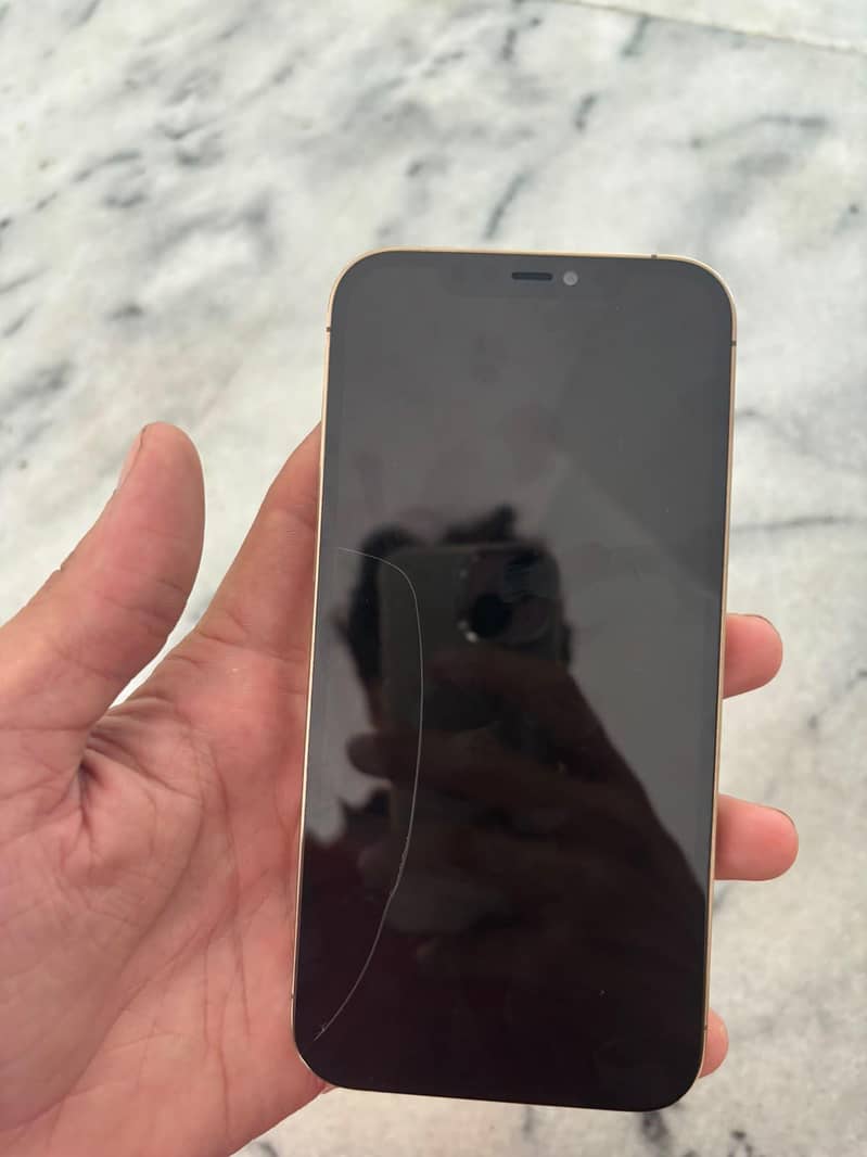 Apple iPhone 12 Pro Max 1