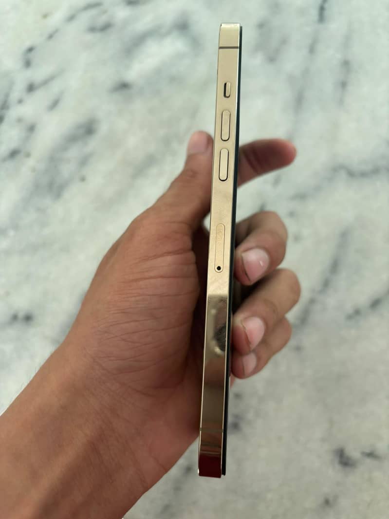 Apple iPhone 12 Pro Max 3
