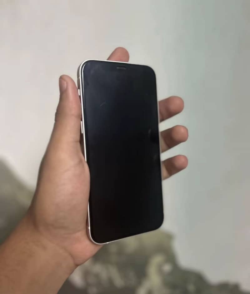 Apple iPhone 12 1