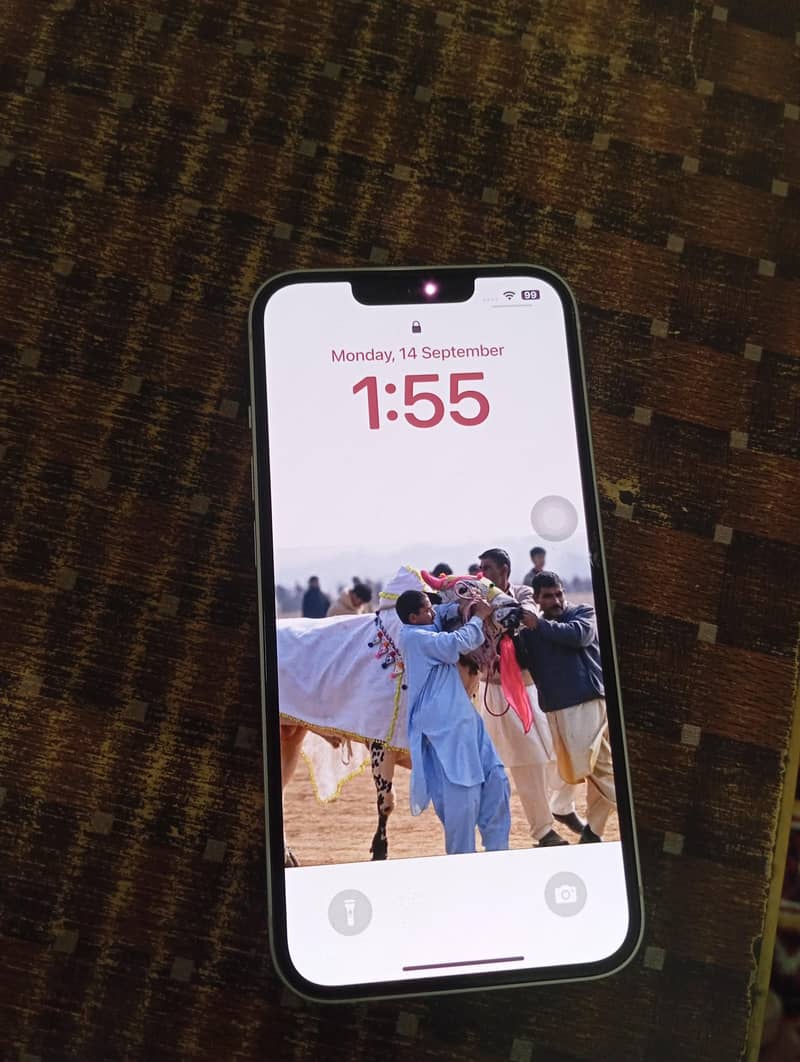 Apple iPhone 13 0