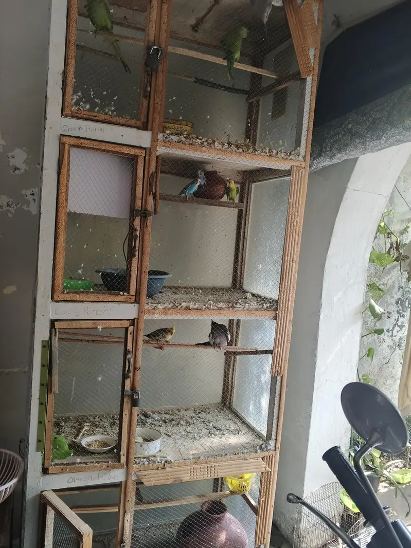 wood bird's cage — photo 4