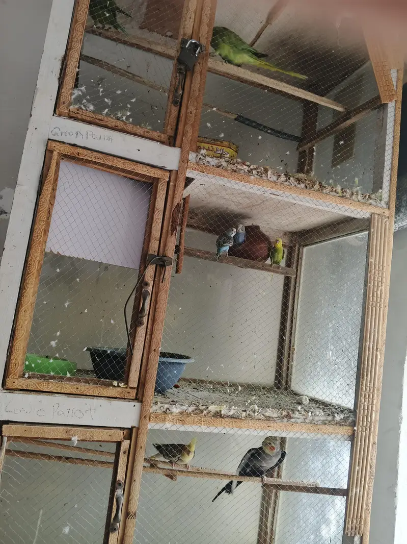 wood bird's cage — photo 5